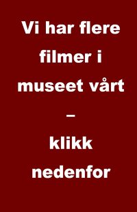 NyFlereFilm